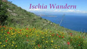 Wanderurlaub auf Ischia