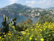 Ischia Wanderwege